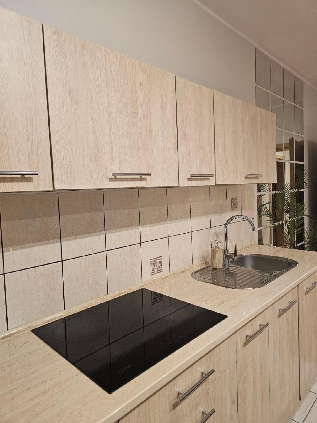 Apartament Rema W Centrum Apartzakop Zakopane Dış mekan fotoğraf