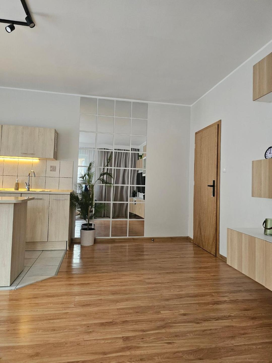 Apartament Rema W Centrum Apartzakop Zakopane Dış mekan fotoğraf